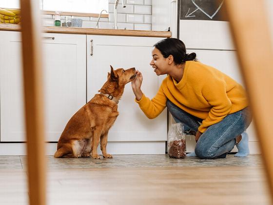 close-up of a camera lens with colorful reflections showcasing photography details and lens clarity