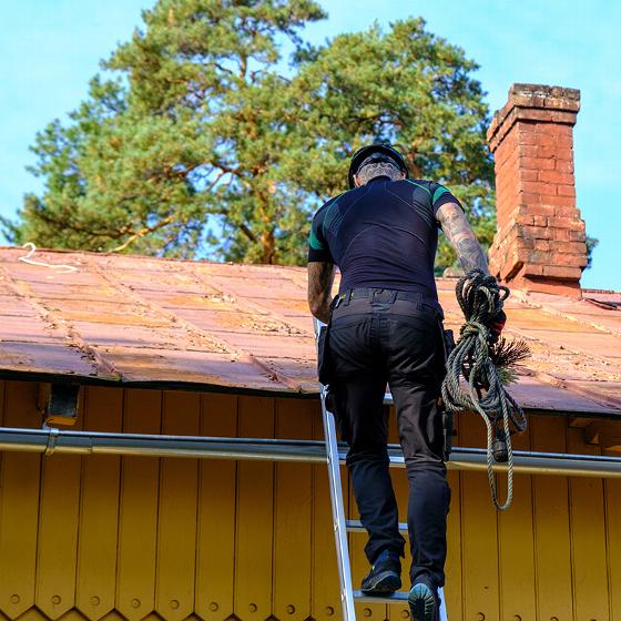 camera lens with colorful reflections capturing the essence of photography in four vibrant shades
