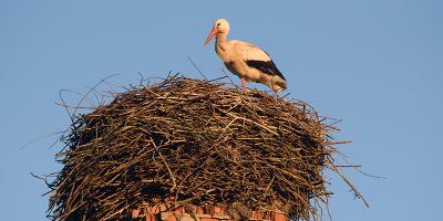 person standing on a snowy rooftop adjusting a chimney while clear blue sky surrounds the scene three winter tips for roof maintenance